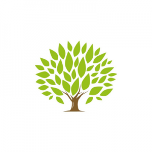 Ironwood Financial LLC