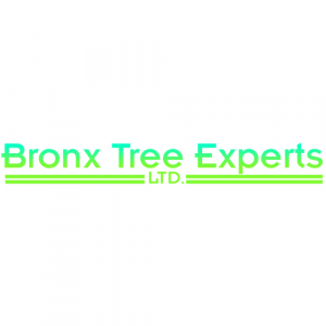 Bronx Tree Pro - Tree Removal, Cutting & Trimming Service