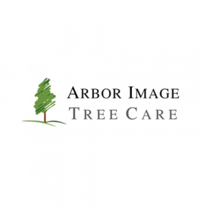 Arbor Image Tree Care