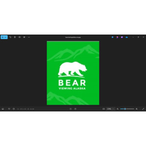 Ultimate Alaska Bear Viewing Tours