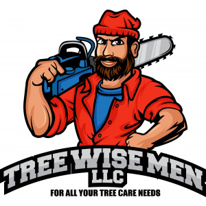 Tree Wise Men LLC