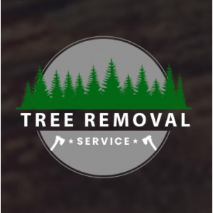 Tree Removal Service NJ