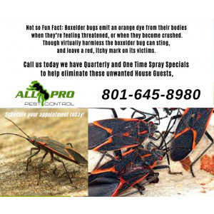 All PRO Pest Control
