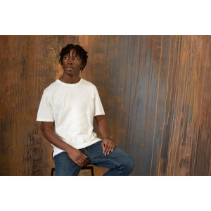 Phoenix Graphics Inc.