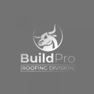 BuildPro Construction