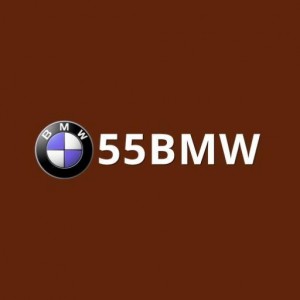 55BMW Official